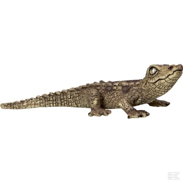 14683SCH +Baby crocodile