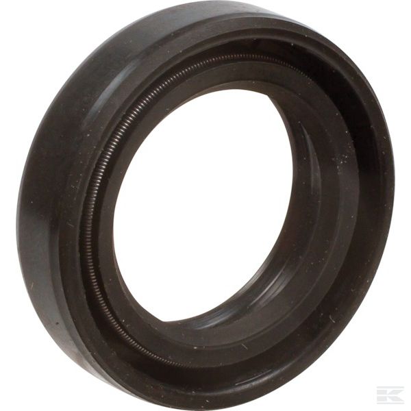 200062468 +Sealing Ring