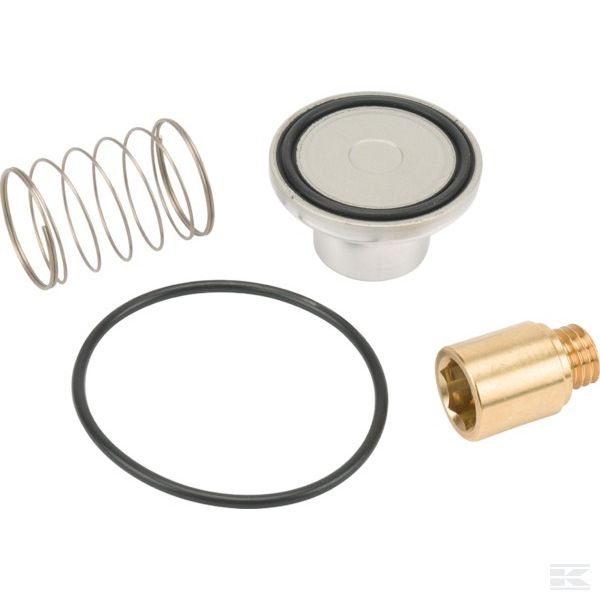 260249050 +Intake valve kit