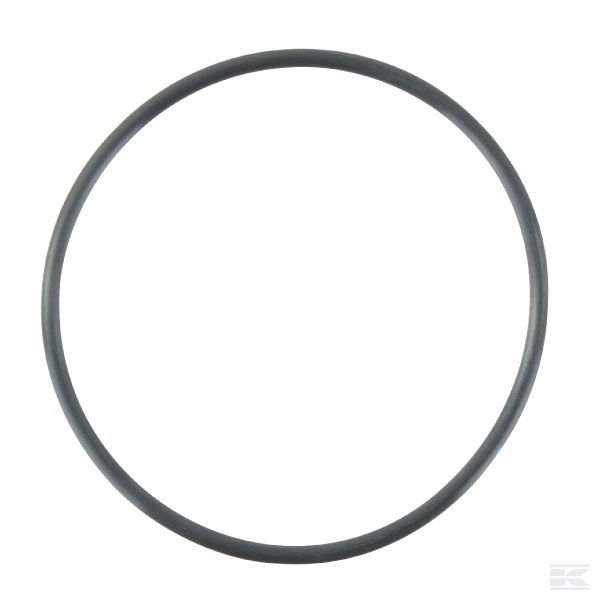 24321000750YAN Уплотнительное кольцо круглого