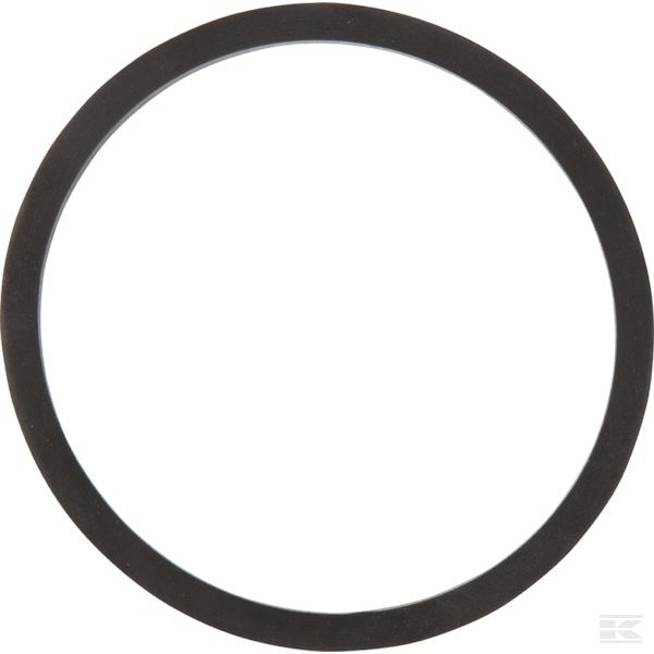 CP12291VI +Gasket Viton