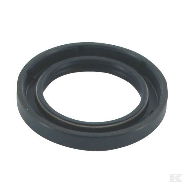 CI025131 Сальник Carraro