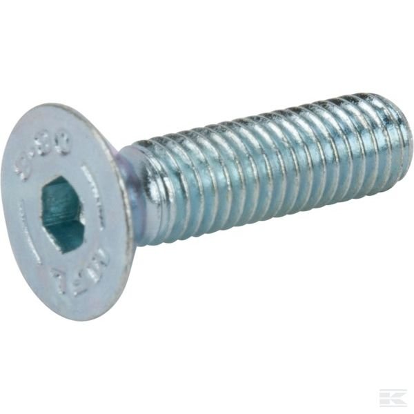 AK702381 Винт