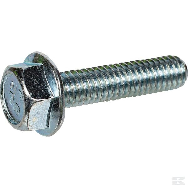 AK455202 Винт