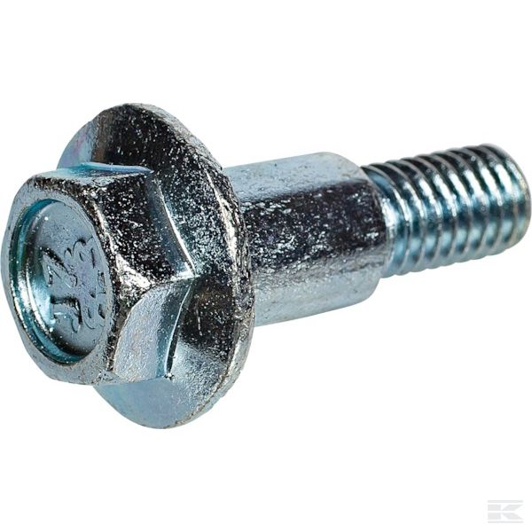 AK455193 Винт