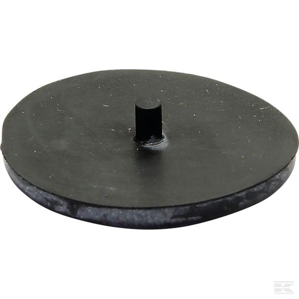 G0238210 +Membrane