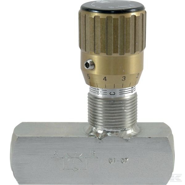 FT2257512 +Throttle Check Valve SS