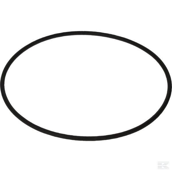 NWS00136 +O-ring FKM