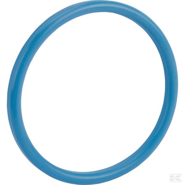 MCG65NBR +Milk coupling gasket DN65