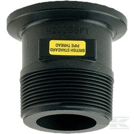 M220BSP Фланцевое соединение 2"FP x 2" внешняя резьба BSP