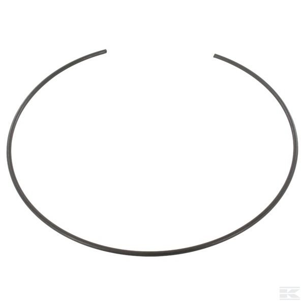 85806006 Кольцо CNH